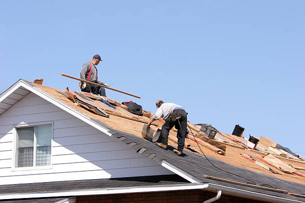  Iowa Falls, IA Roofing services Pros
