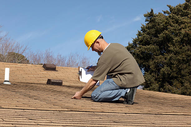 Best Asphalt Shingle Roofing  in Iowa Falls, IA